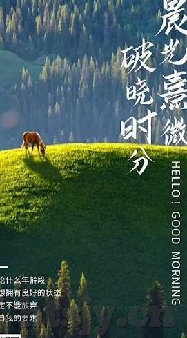 91麻豆剧传媒国产av-剖析91麻豆剧传媒国产AV现象，行业探秘与内容观察