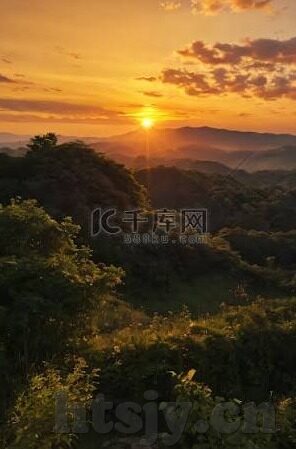 国内成人自拍视频-国内成人自拍视频，文化、社会与个人视角的深度探讨