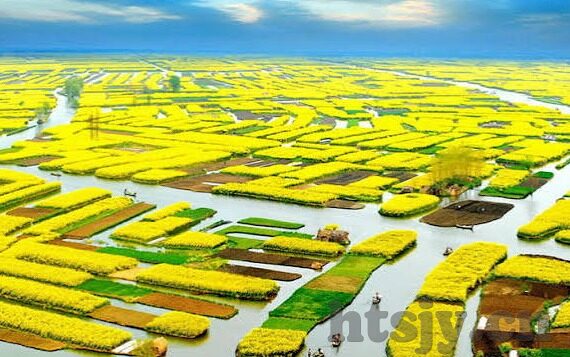 麻豆传媒视频网站在线tv-麻豆传媒视频网站——网络娱乐的新选择？