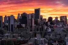 麻豆激情视频在线播放-自由焦点，麻豆之魅力与网络娱乐的交织