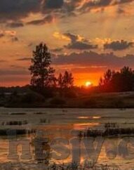 麻豆视频传-麻豆视频传，网络时代的文化传播新视角