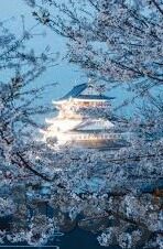 麻豆天美果冻传媒-麻豆天美果冻传媒，数字时代的文化交融与艺术创新