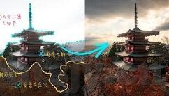 青青草成人在线视频免费视频-青青草，成人世界的一抹绿意
