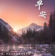 糖心vlog贴吧-网罗生活趣味，糖心Vlog与贴吧的互动奇缘