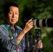 在线观看亚洲AV日韩A∨-探索亚洲影视文化的多元魅力，日韩AV的在线观看现象